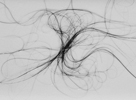 07_experiments.jpg