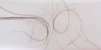 08_experiments.jpg