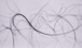 05_experiments.jpg