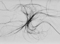 07_experiments.jpg
