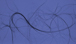05_experiments.jpg