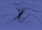 07_experiments.jpg