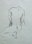 04_drawings.jpg