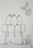 15_drawings.jpg
