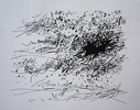 03_black_and_white.jpg