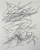 04_black_and_white.jpg
